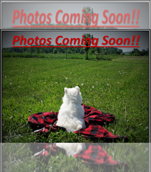 Mother's photo