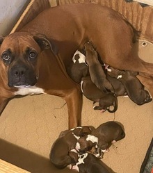 Mother's photo