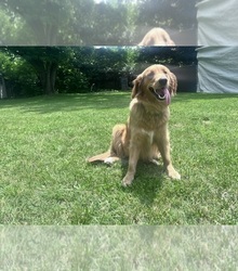 Small Mother's photo