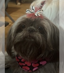 Mother's photo