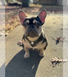 Mother's photo