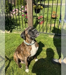 Mother's photo