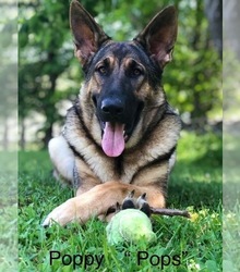 Mother's photo