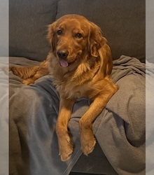 Mother's photo