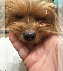 Father's photo