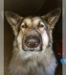 Mother's photo