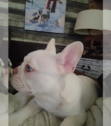 Mother's photo