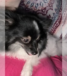 Mother's photo