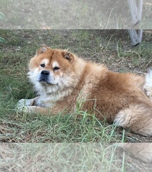 Father's photo