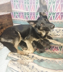 Mother's photo