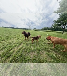 Mother's photo