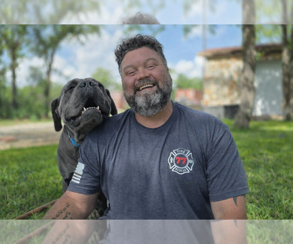 Medium Photo #2 Cane Corso Breeder Profile in BANGS, TX, USA