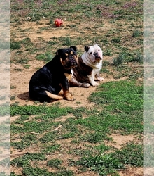 Mother's photo