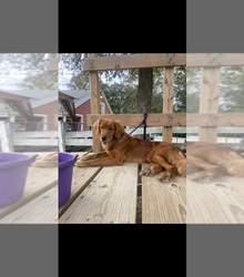 Small Father's photo