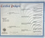 Small Photo #2 Vizsla Breeder Profile in GREENFIELD, IA, USA