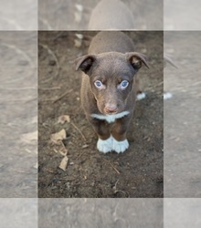 Mother's photo