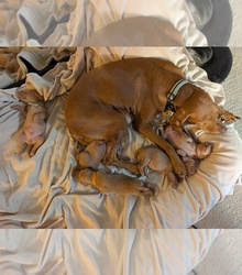 Father's photo