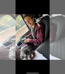 Small Mother's photo