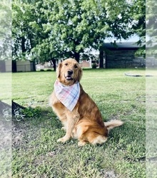 Mother's photo