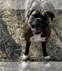 Mother's photo