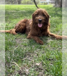Father's photo