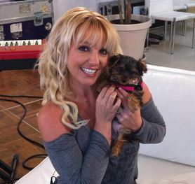 Photo of Britney Spears