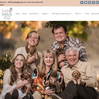 Image of website Beautiful doodles and healthy pets