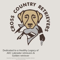 Image of website Cross Country Retrievers