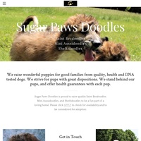 Image of website St Berdoodles Mini Aussiedoodles