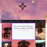 Image of website Tiffanys Puppies