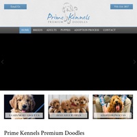 Image of website Prime Kennels