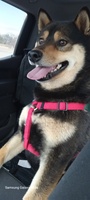 Image of website KHSHIBAS