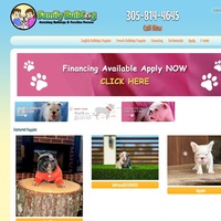 Image of website French and English Bulldog puppies for sale