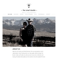 Image of website The Smart Doodle