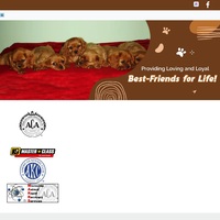 Image of website sunshine cavaliers