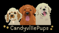 Image of website CandyvillePups