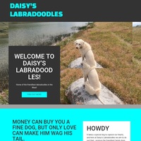Image of website Daisys Labradoodles