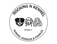 Image of website Rocking N Kennel Aussies Doodles and Poodles