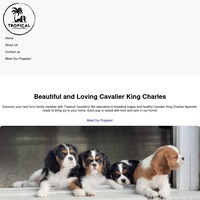 Image of website Tropical Cavaliers