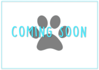 Image of website Georgia Puppies Online