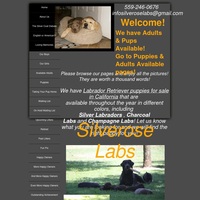 Image of website Silverose Labs