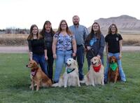 Image of website Colson Kennels