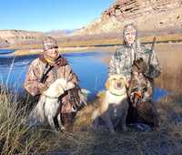 Image of website Robidoux Ranch Puppies