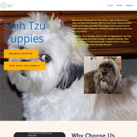 Image of website Shih Tzu Puppies