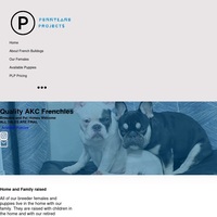 Image of website Pennylane Projects