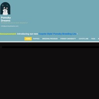 Image of website Pomsky Dreams
