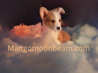 Image of website Click here to see more cute