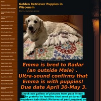 Image of website Stormandsummercom