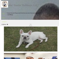 Image of website Rootin Tootin Bulldogs