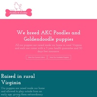 Image of website Virginia Poodles and Doodles